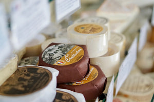 Small soft cheeses in cheese case.