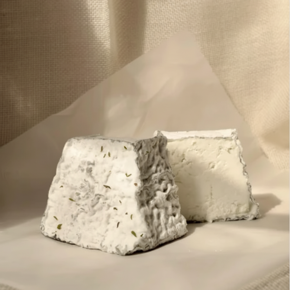 Two textured pryamid cheeses, white, on a neutral background