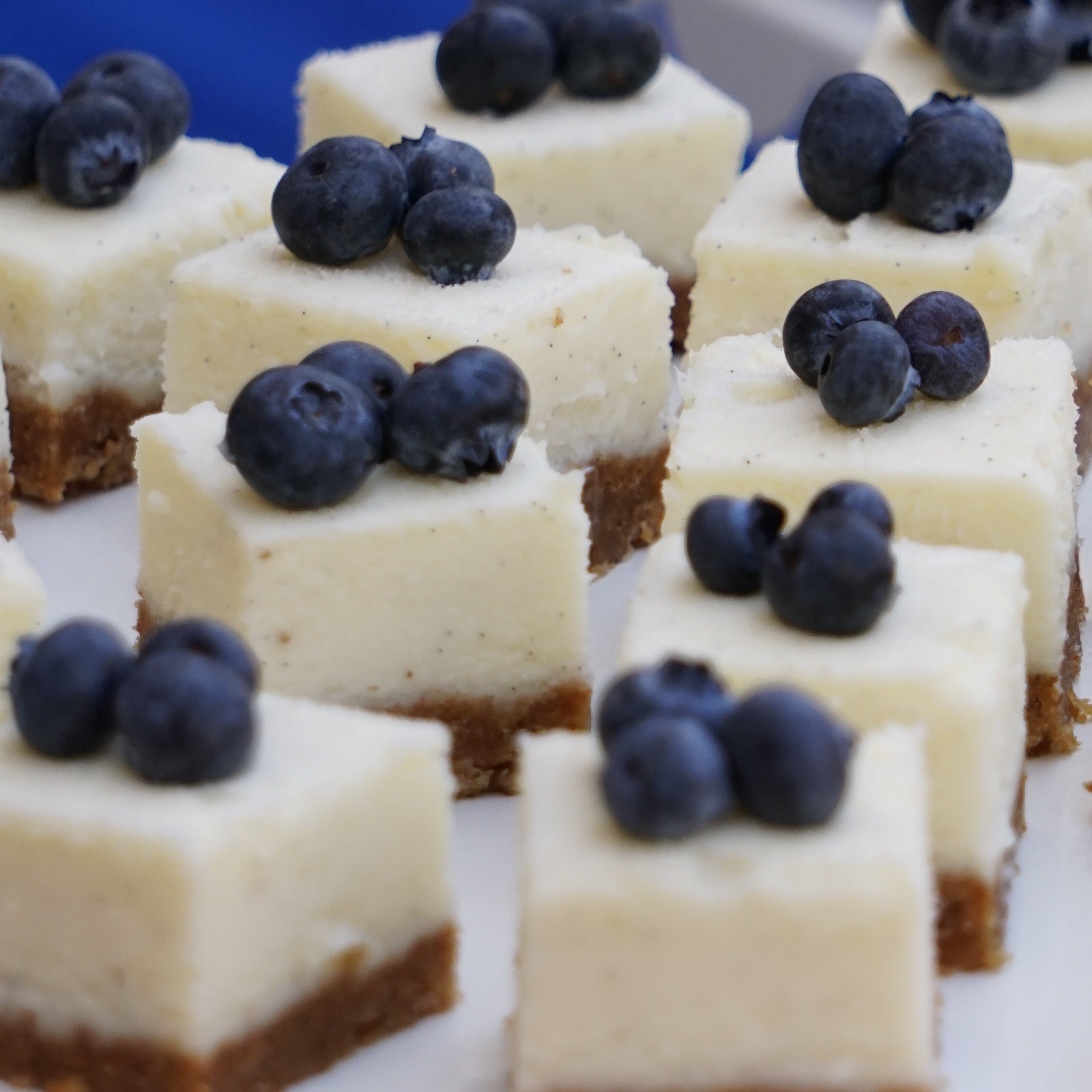 Dessert platter with mini cheesecake bites with a berry garnish