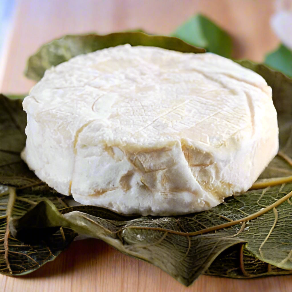 a wheel of Andante Figaro, sitting on grape leaves