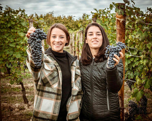 Brandini Cheese & Wine Event