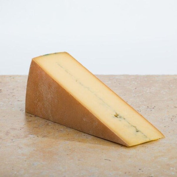 Wedge of golden semi soft cheese with decorative ash running down the center