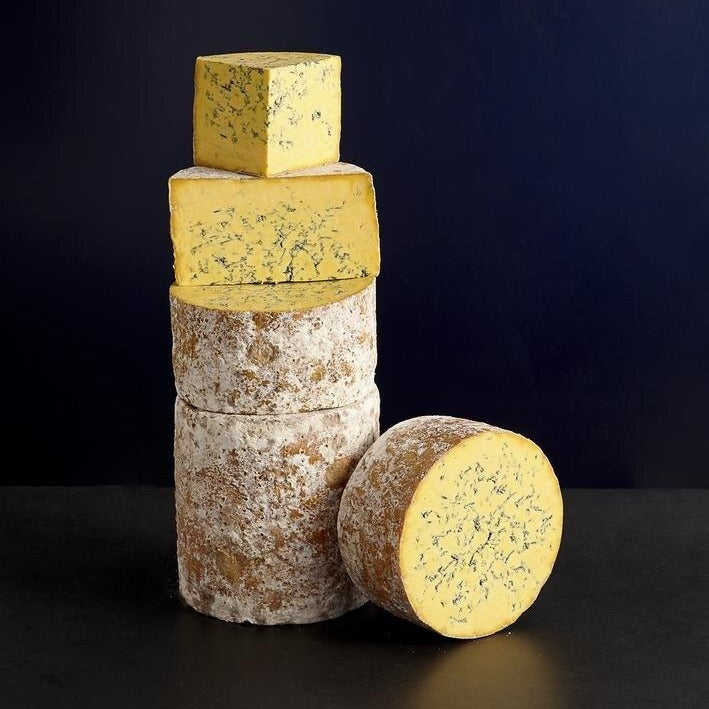 several wheels of blue cheese with a brown rind