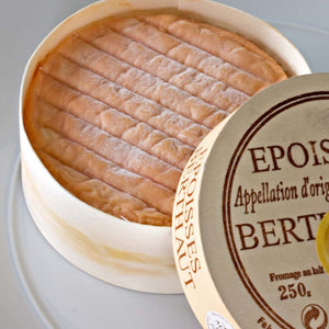 Wheel of soft cheese with an orange rind